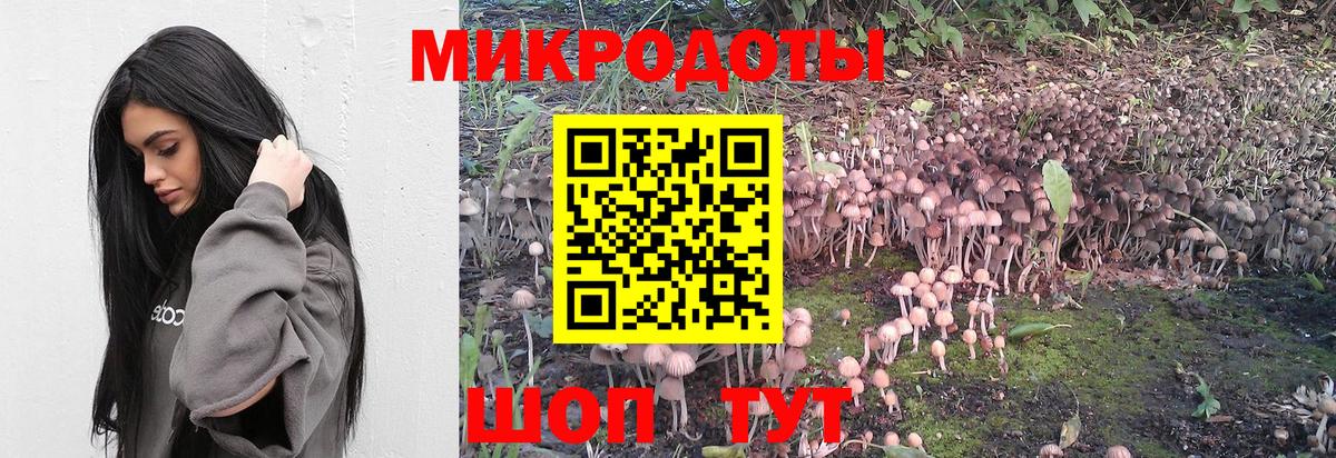 Алушта  Галлюциногенные грибы Psilocybine cubensis  Вход с VPN 