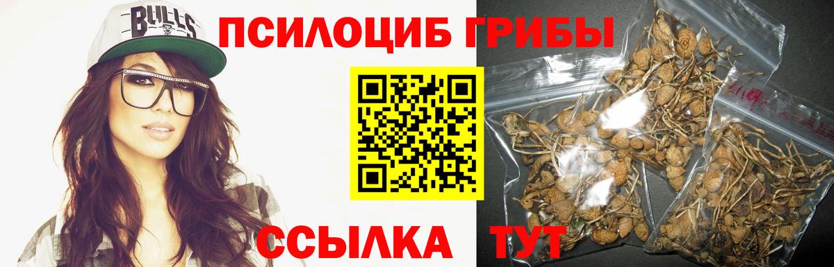 Псилоцибиновые грибы прущие грибы Алушта